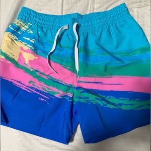 Mens Chubbies Swim Shorts